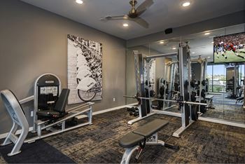A gym with weights and cardio equipment and a tv